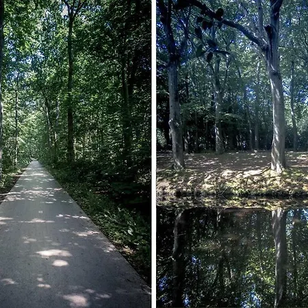 Luxury Egmond Villa *