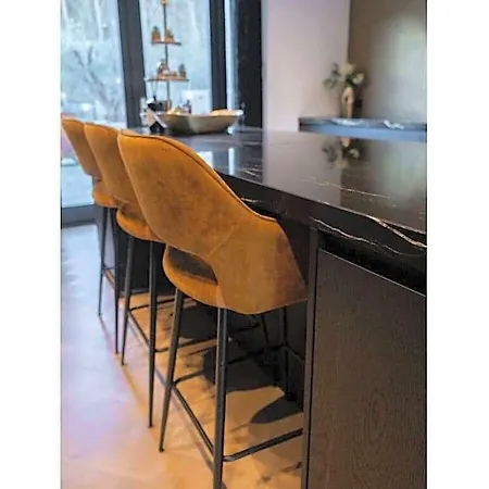 Luxury Egmond Villa Egmond aan Zee