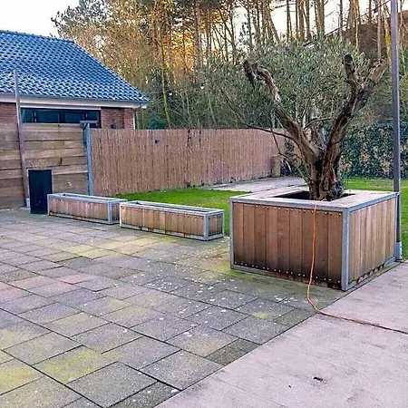 Luxury Egmond Villa