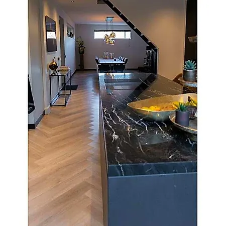 Villa Luxury Egmond