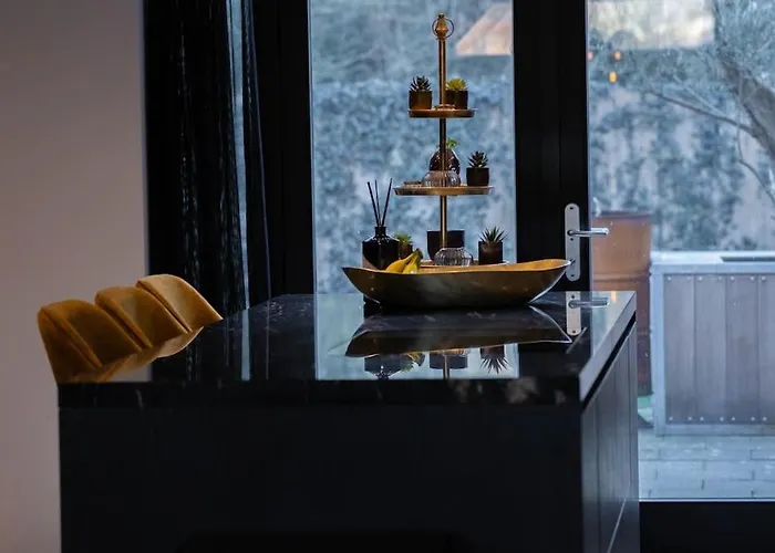 Villa Luxury Egmond Egmond aan Zee