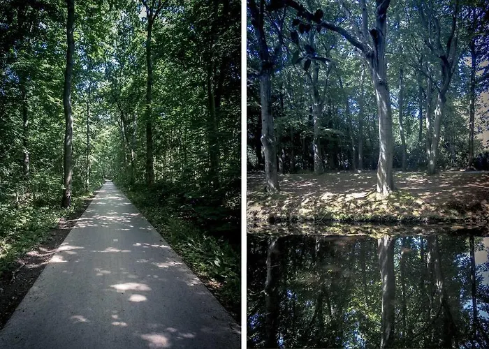 Luxury Egmond Villa *