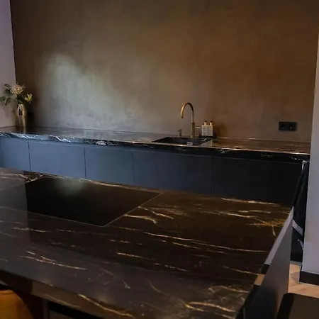 Luxury Egmond Villa